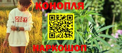 прущие грибы Ставрополь