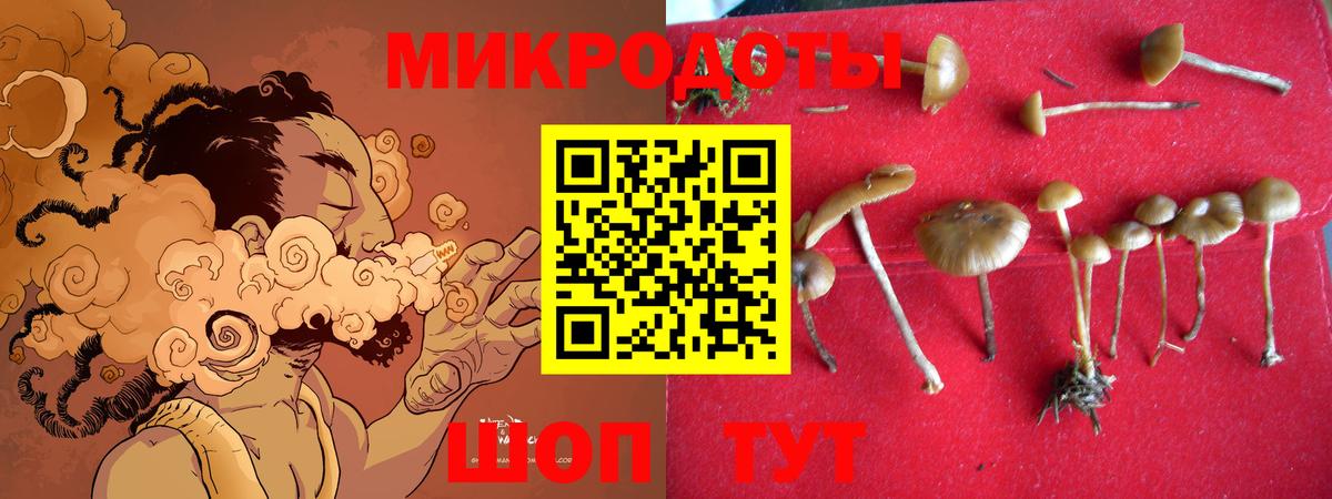 Галлюциногенные грибы ЛСД Псков